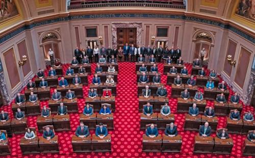 Minnesota Senate image, MnSEIA solar policy